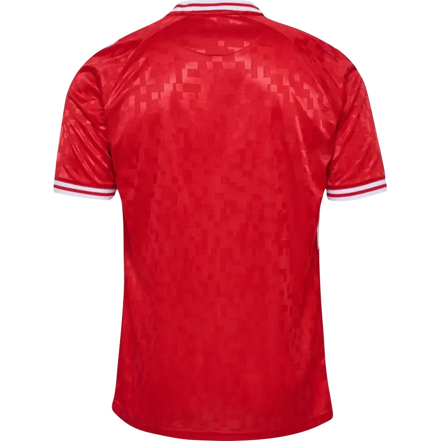 Denmark Home Jersey 2024 Adults