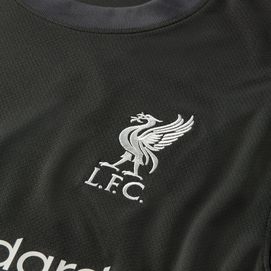 Liverpool Away Jersey 2024/25 Adults