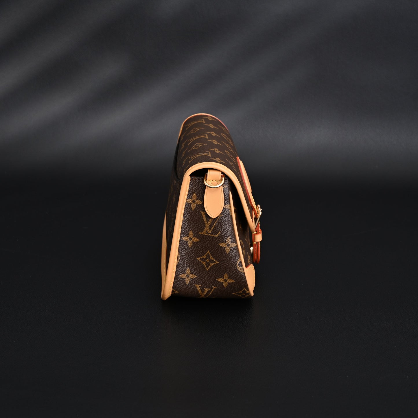 Louis Vuitton Croissant Bag Monogram Canvas