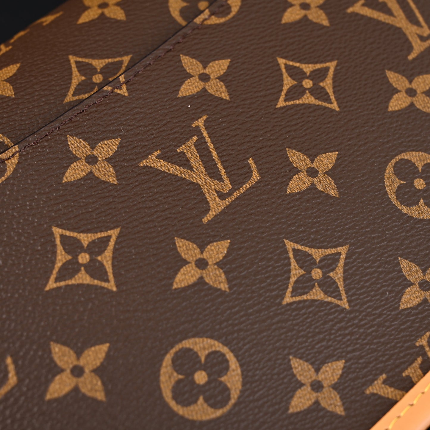 Louis Vuitton Croissant Bag Monogram Canvas