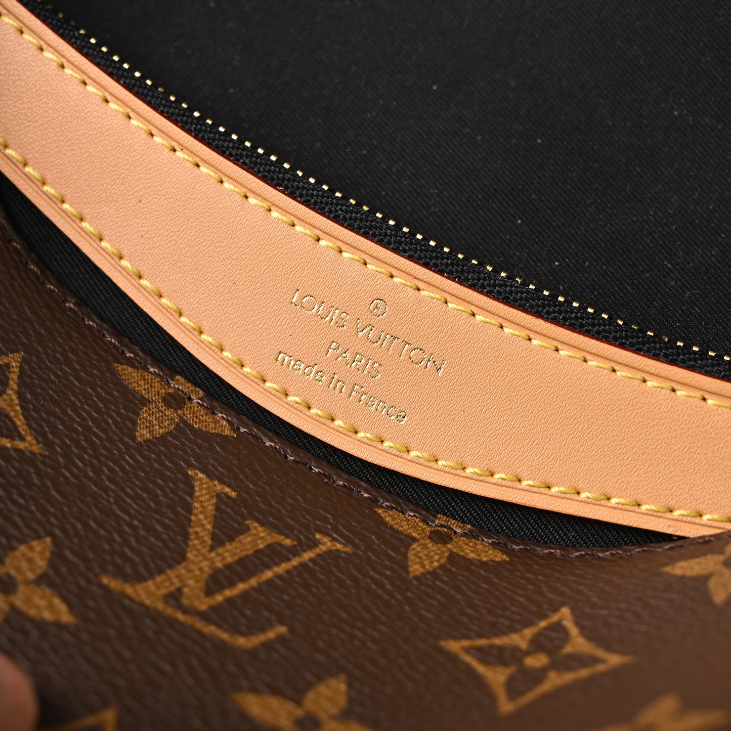 Louis Vuitton Croissant Bag Monogram Canvas