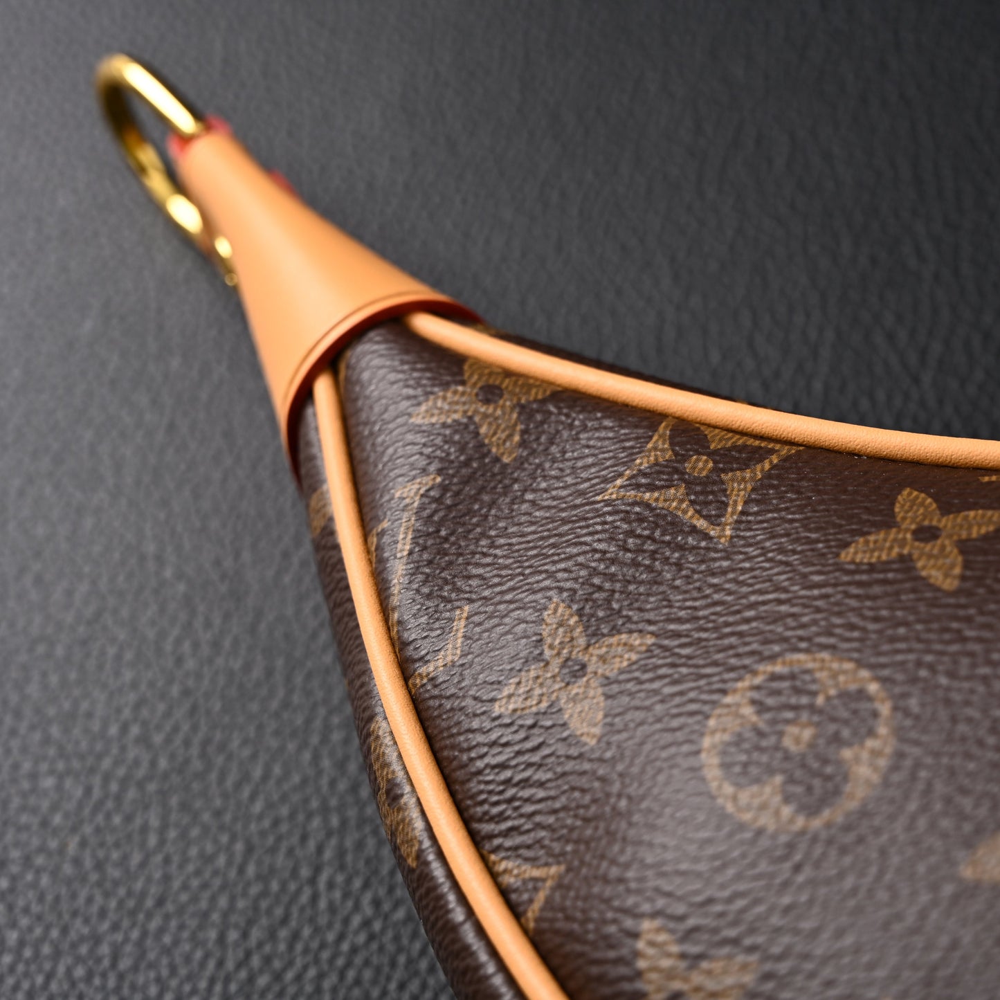 Louis Vuitton Loop Bag – Monogram Canvas with Gold Chain