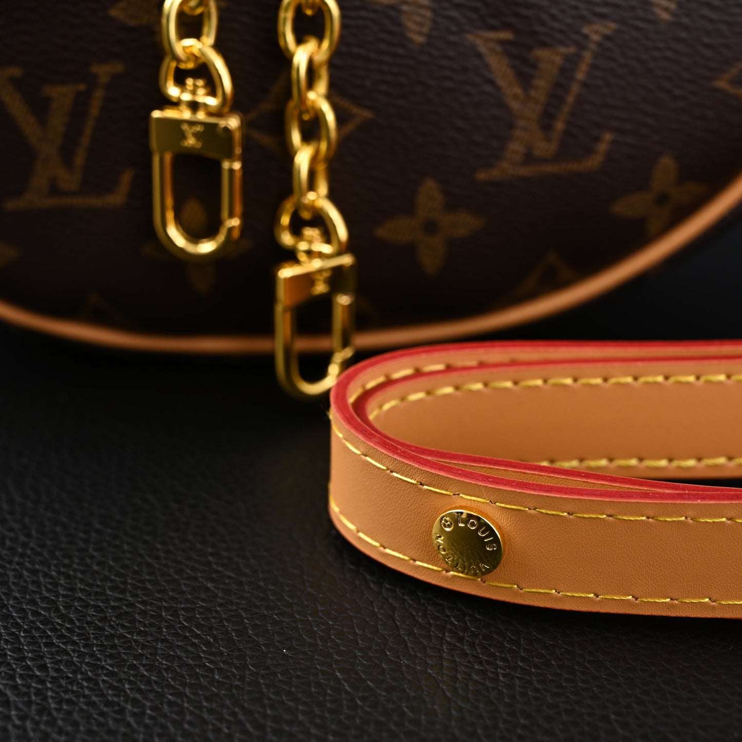 Louis Vuitton Loop Bag – Monogram Canvas with Gold Chain
