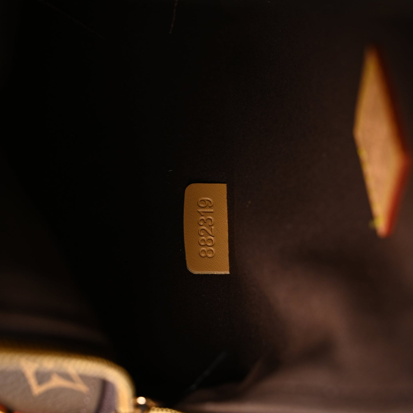 Louis Vuitton Cannes Trunk Bag – Monogram Canvas with Gold-Tone Hardware