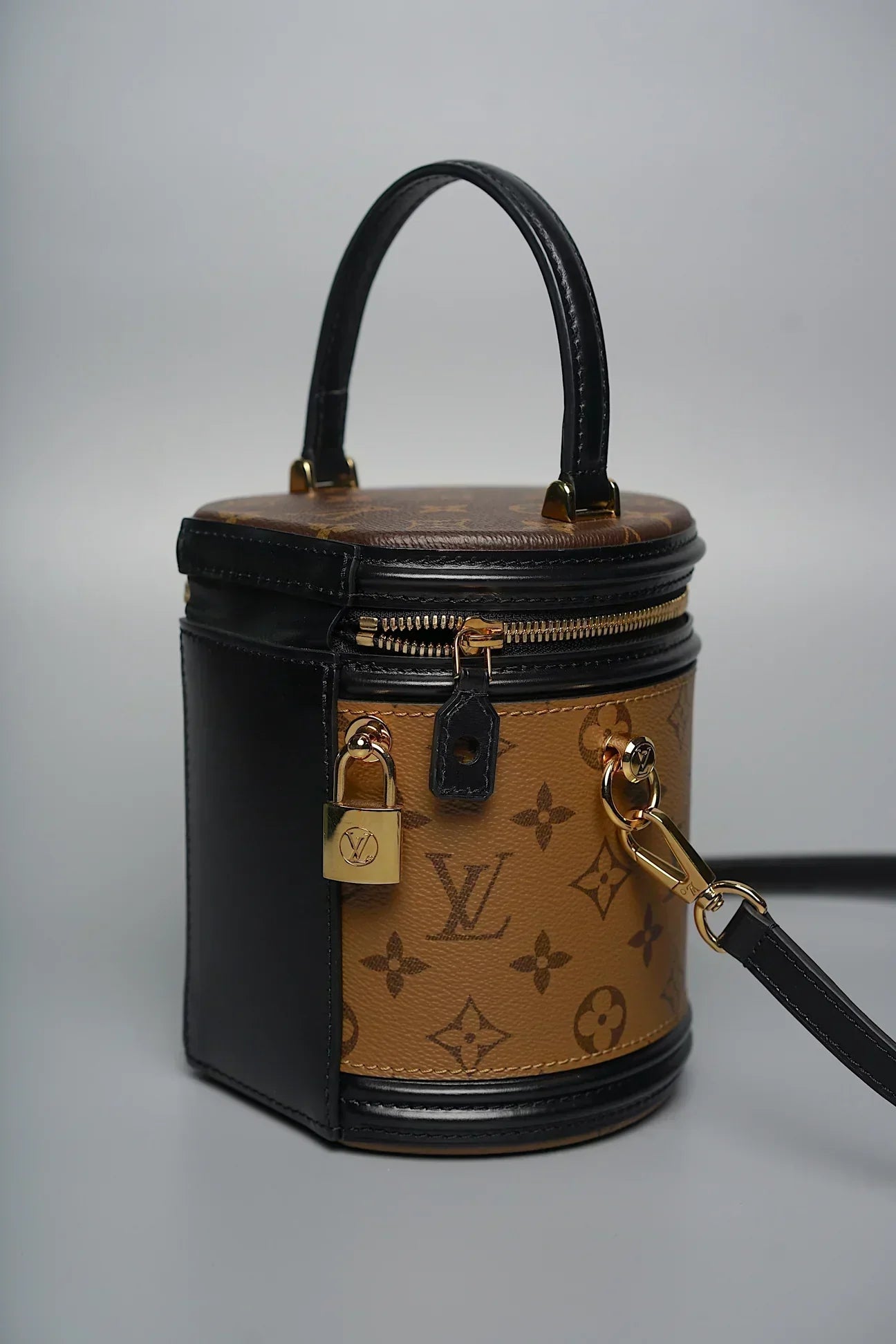 Louis Vuitton CANNES monogram canvas