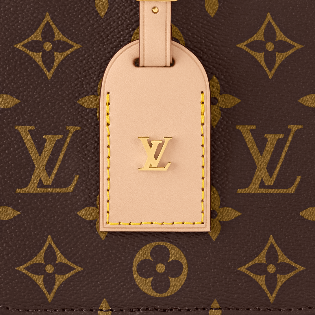 Louis Vuitton Around Me PM